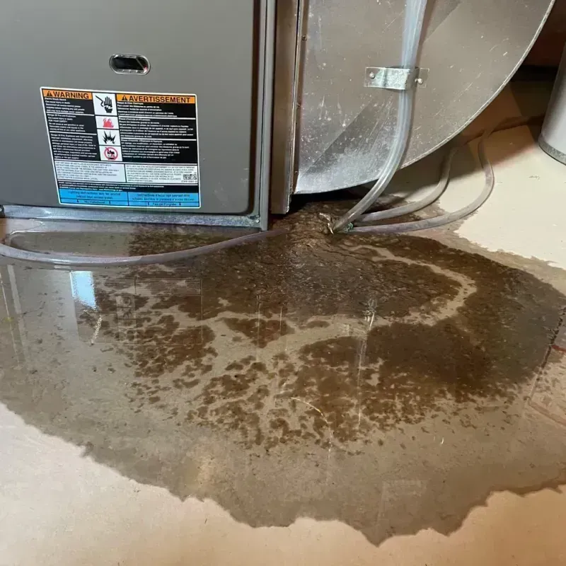 Appliance Leak Cleanup in Coppell, TX